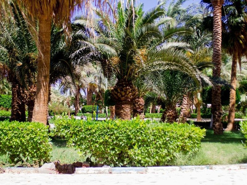 صورة الفندق 16