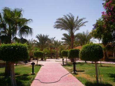 صورة الفندق 17