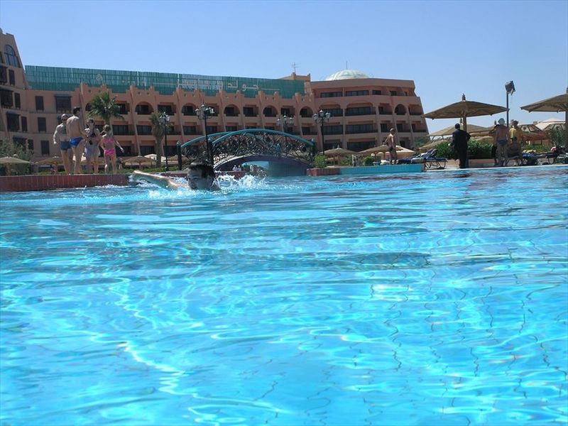 Hotel Photo 21