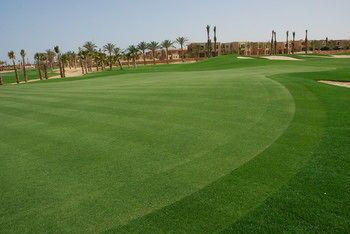 صورة الفندق 19
