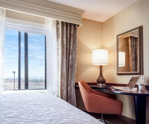 Hampton Inn & Suites Las Vegas-Red Rock/Summerlin Blue Diamond United States