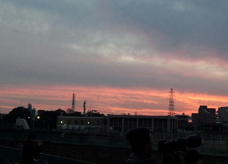صورة الفندق 20