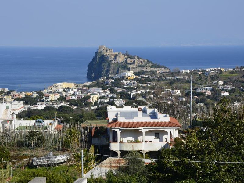 صورة الفندق 14