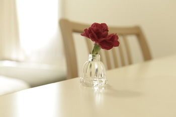 صورة الفندق 13