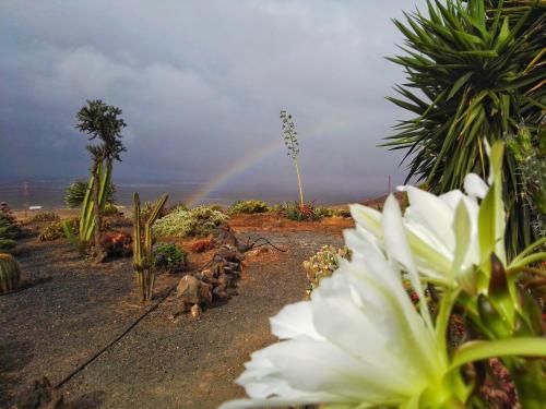 صورة الفندق 14