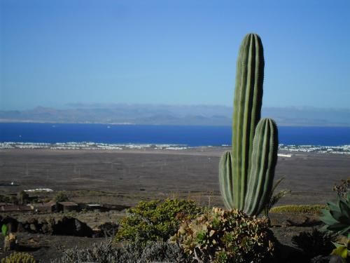 صورة الفندق 15