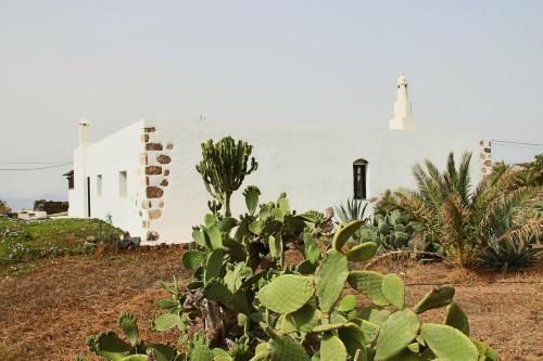 صورة الفندق 24