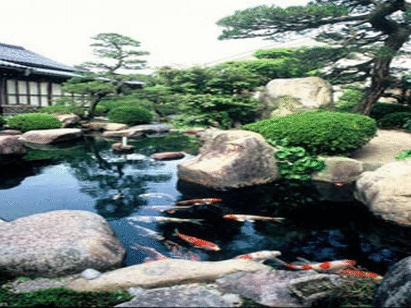 صورة الفندق 16