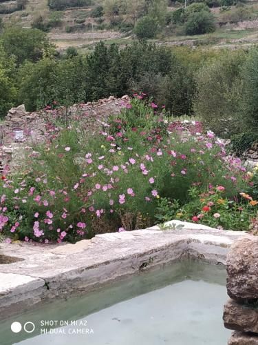صورة الفندق 12