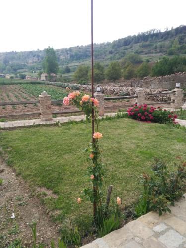 صورة الفندق 15