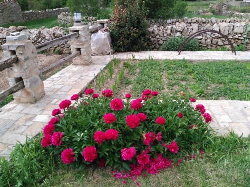 صورة الفندق 17