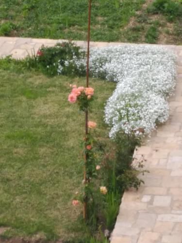صورة الفندق 18