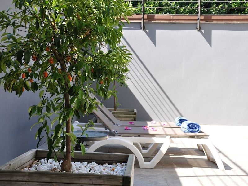 صورة الفندق 20