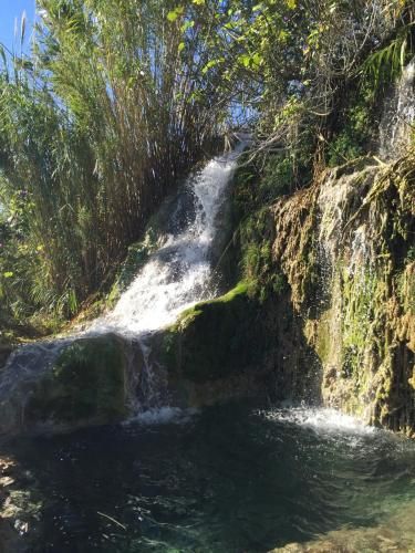 صورة الفندق 20