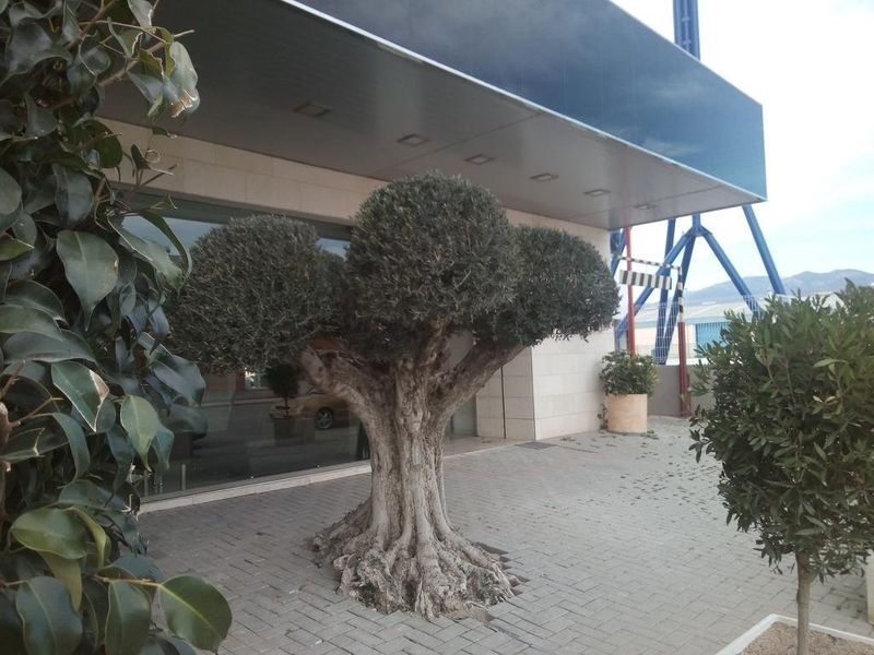 Hotel Photo 22