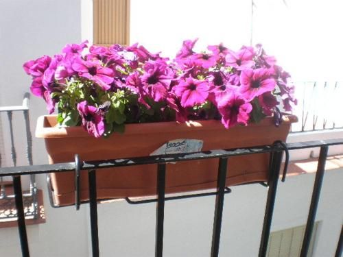 صورة الفندق 15