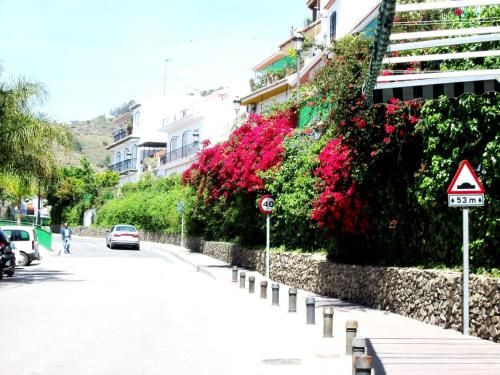 صورة الفندق 24