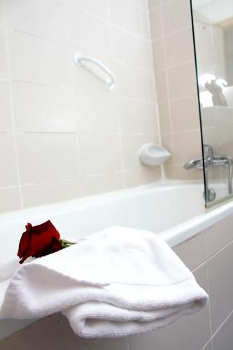 Hotel Photo 11
