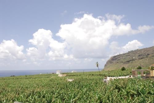 صورة الفندق 20