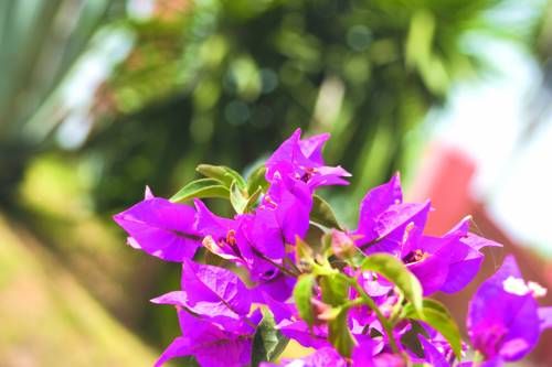 صورة الفندق 19