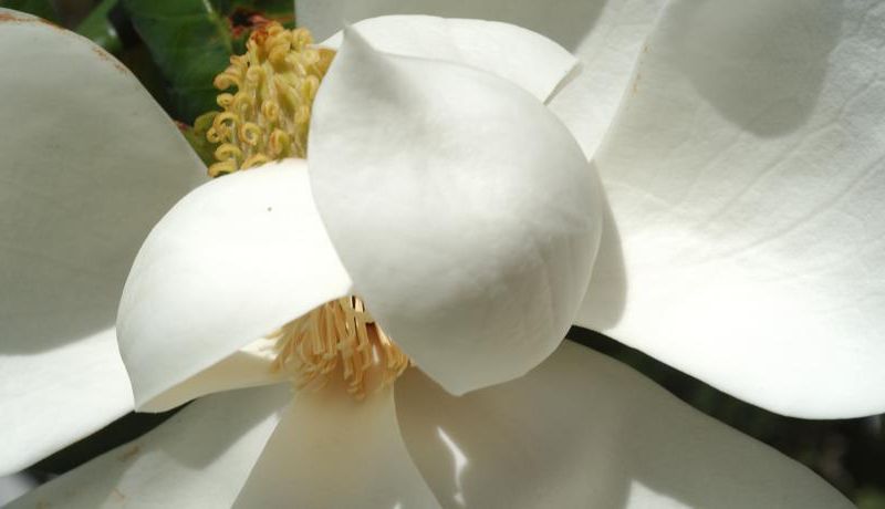 صورة الفندق 16