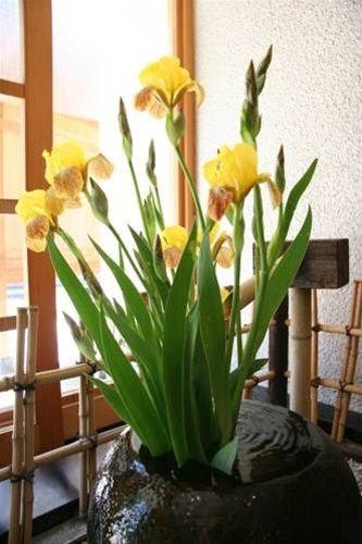 صورة الفندق 11