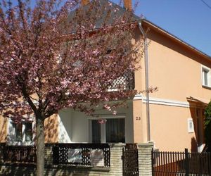 Andrea Apartman Heviz Hungary