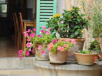 صورة الفندق 18