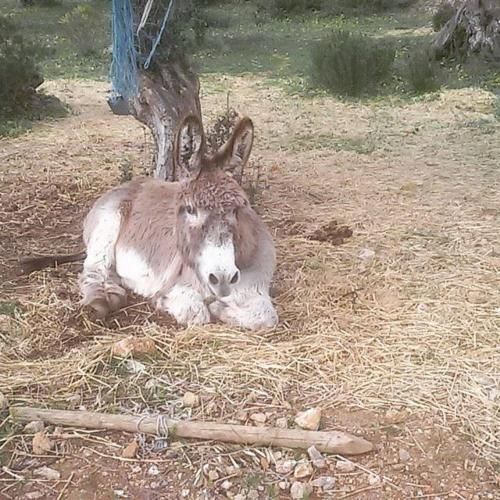 صورة الفندق 20