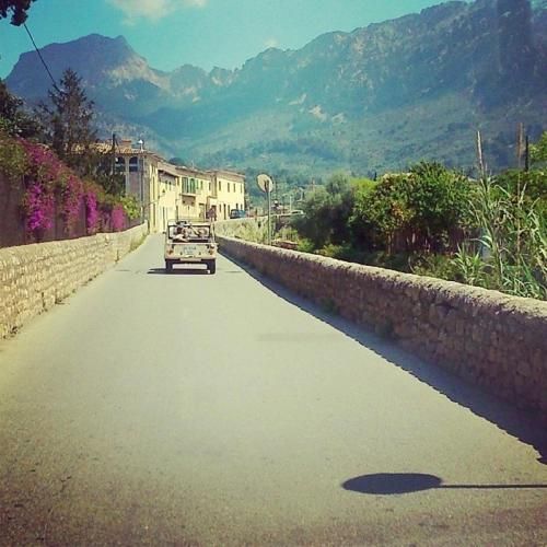 صورة الفندق 21