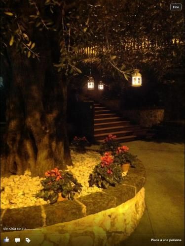 صورة الفندق 20