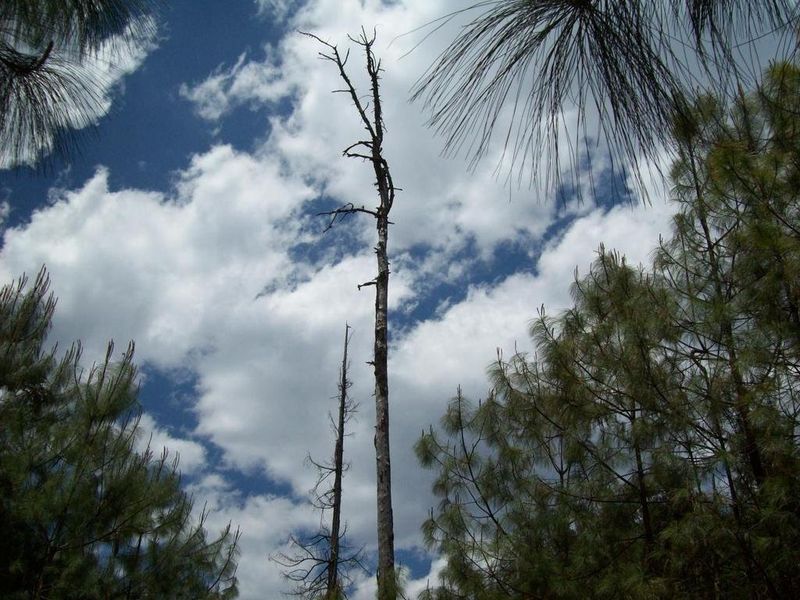 صورة الفندق 18