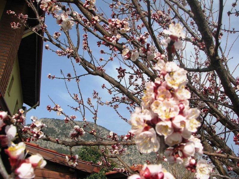 صورة الفندق 19