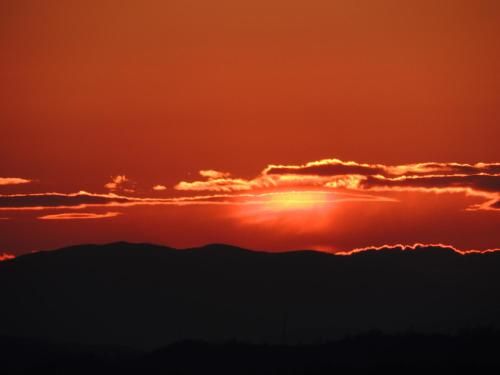 صورة الفندق 8