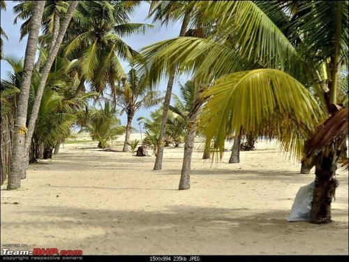 صورة الفندق 17