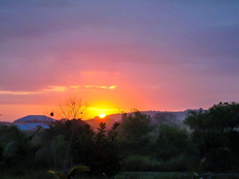 صورة الفندق 19