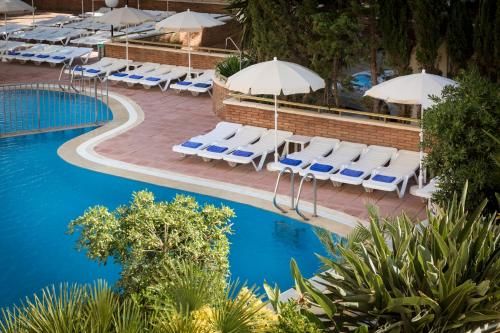 Hotel Photo 22