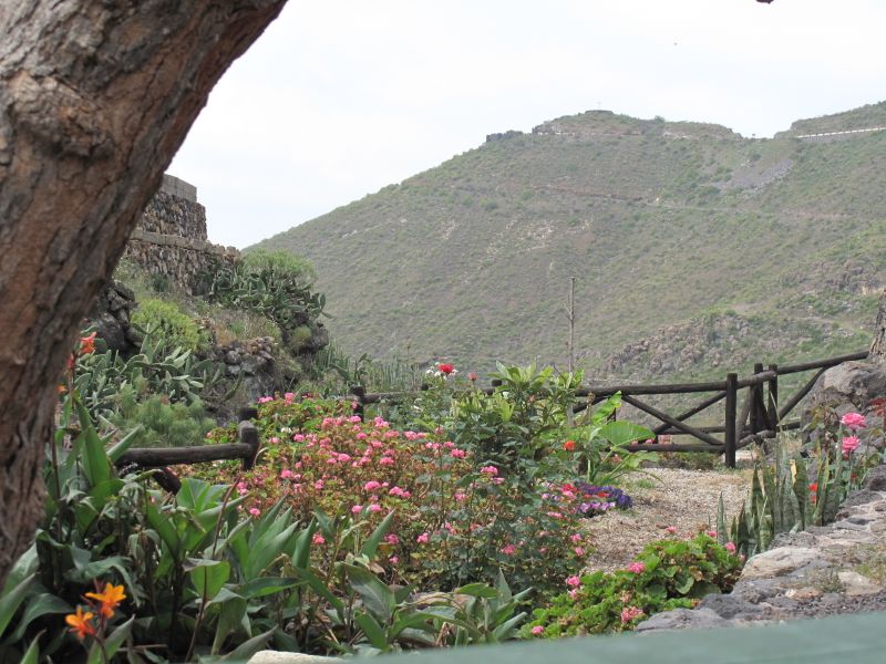 صورة الفندق 8