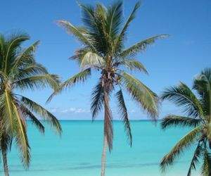 EXUMA DRIFTWOOD George Town Bahamas