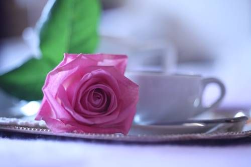 صورة الفندق 10
