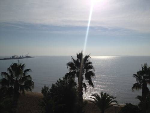 صورة الفندق 20