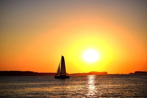 صورة الفندق 21