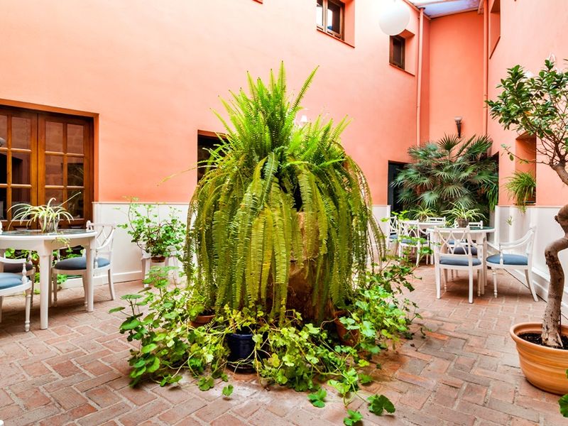 Hotel Photo 22