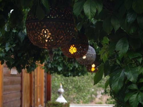 صورة الفندق 15