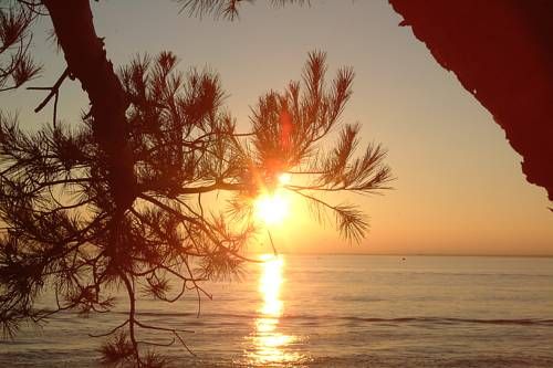 صورة الفندق 22