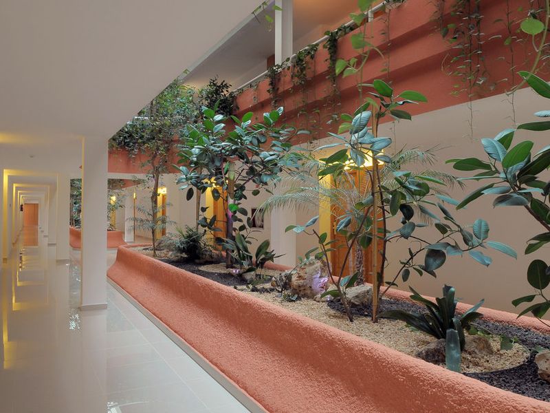 Hotel Photo 13