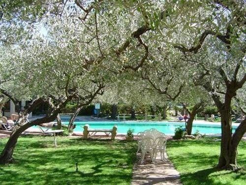 صورة الفندق 13
