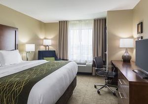 Comfort Inn & Suites Dothan East Dothan United States