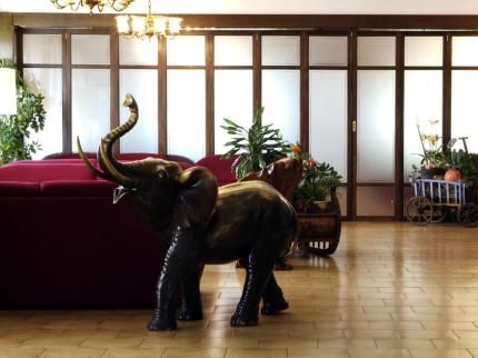 Hotel Photo 8