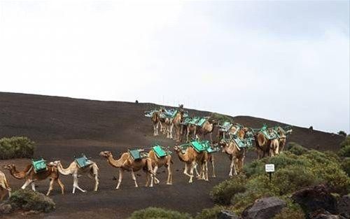 صورة الفندق 6